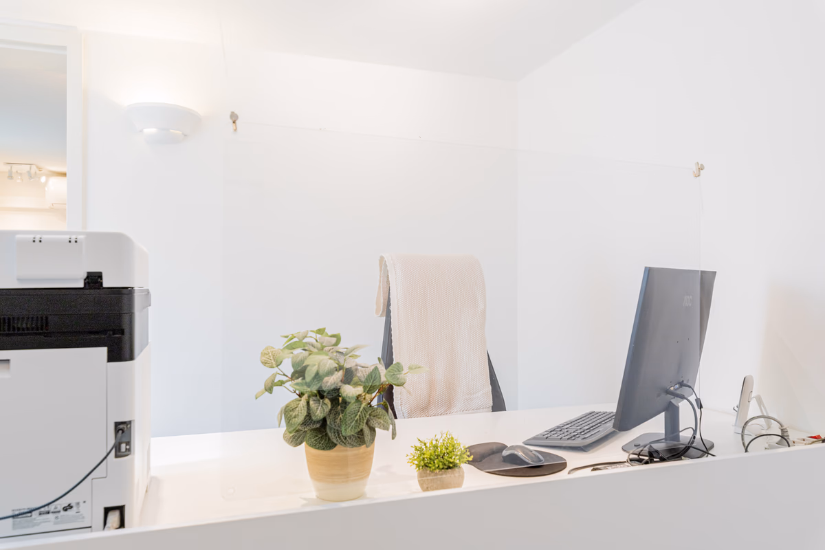 Bürotisch mit Pflanzen, einem Computer und einem Drucker.